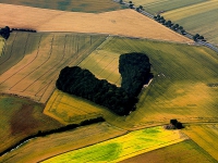 La Valse des Photos paysage