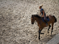 equitation cheval