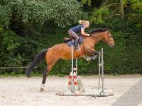 equitation cheval