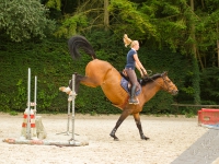 equitation cheval