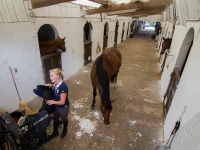 équitation cheval